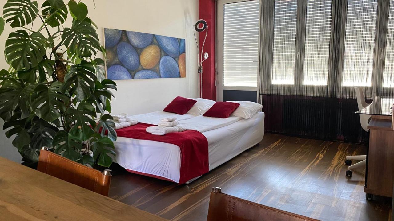 Special Retreat Apartment & Home-Office & Workplace Базел Екстериор снимка