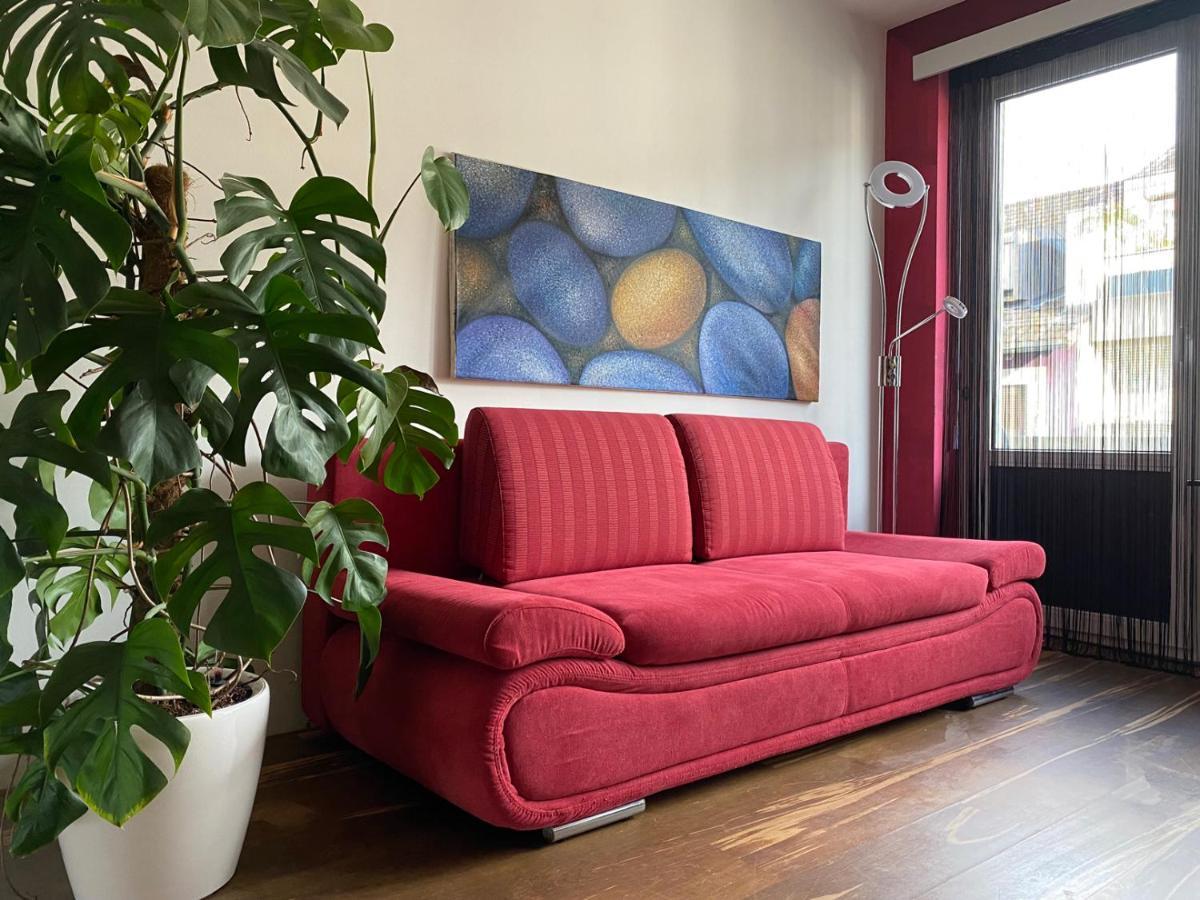Special Retreat Apartment & Home-Office & Workplace Базел Екстериор снимка